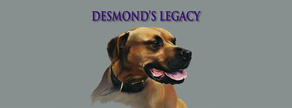 4th Annual Desmond's Legacy Fundraising Event at Cadillac Ranch 2023 Banner