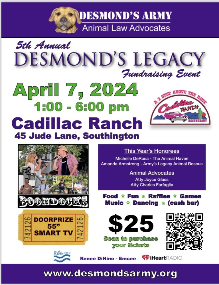 5th Annual Desmond's Legacy Fundraising Event - April 7, 2024