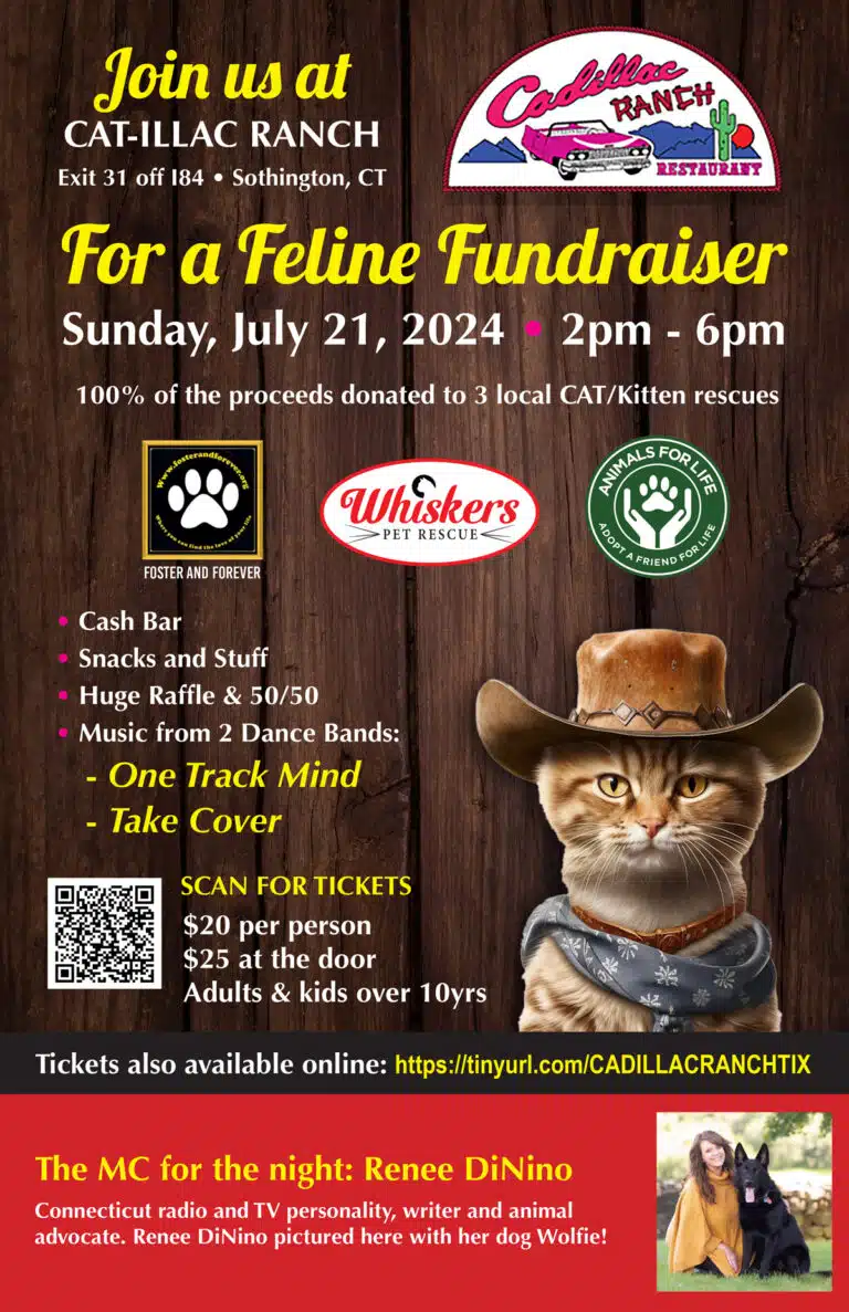 Feline Fundraiser at Cadillac Ranch July 21, 2024