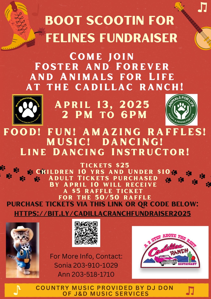 Read more about the article Boot Scootin’ for Felines Fundraiser