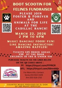 Boot Scootin’ for Felines Fundraiser at Cadillac Ranch
